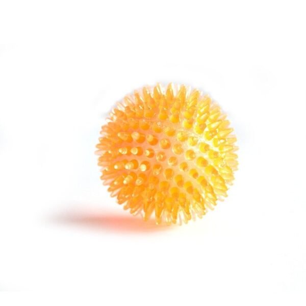 Interactive Pig Face Dog Ball