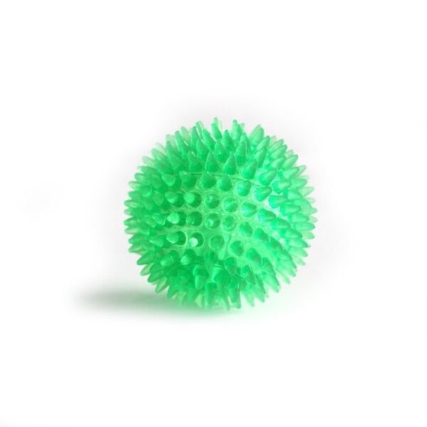 Interactive Pig Face Dog Ball