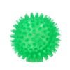Interactive Pig Face Dog Ball