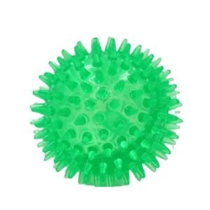 Interactive Pig Face Dog Ball